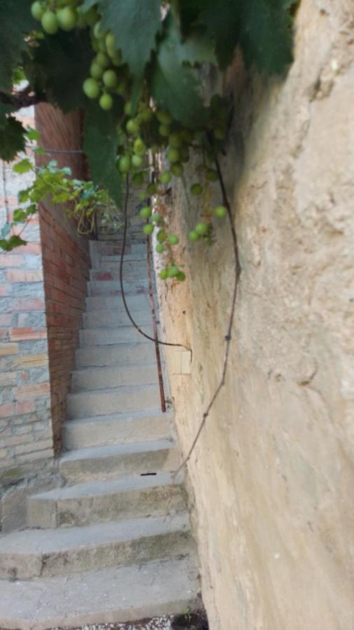 Alojamiento En Sant Marti Villa Rocafort de Vallbona Exterior photo
